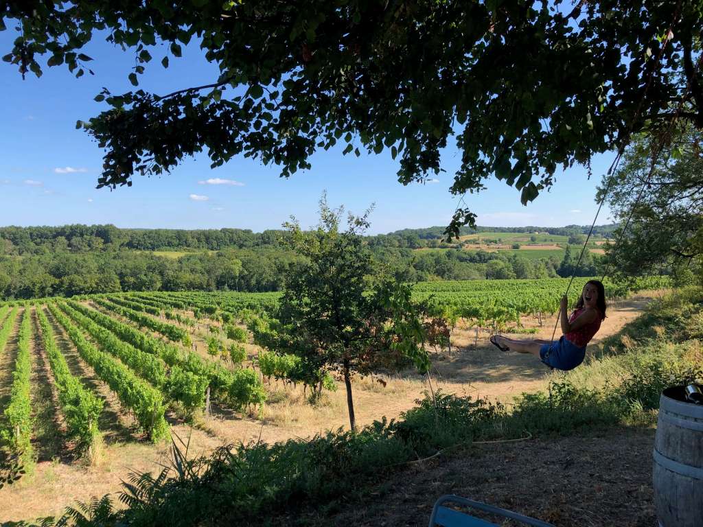 Lestevenie vineyards