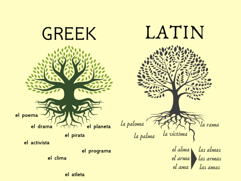 Why is “problema” masculine?: how to solve gender trouble in&nbsp;Spanish