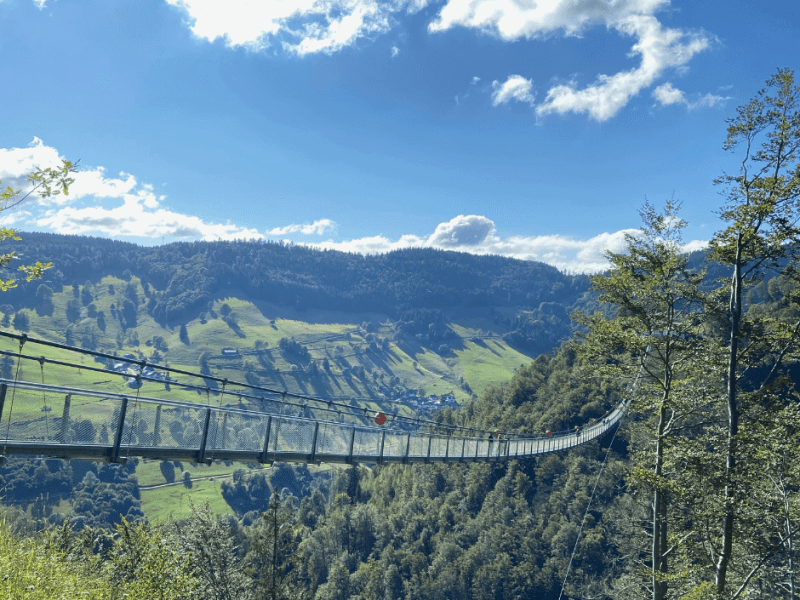 How I got to B2 German in under two years – alongside a full-time&nbsp;job